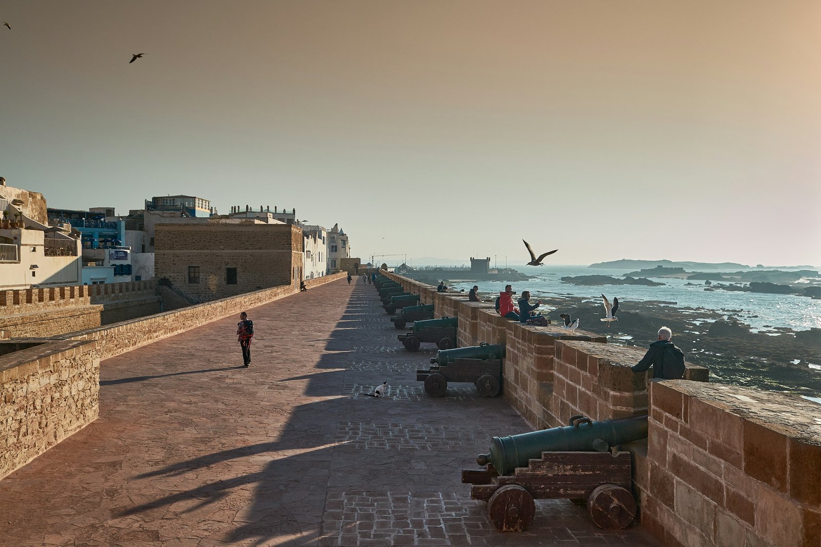 Essaouira: Morocco’s Atlantic Escape — Why Summer Is the Perfect Time to Visit