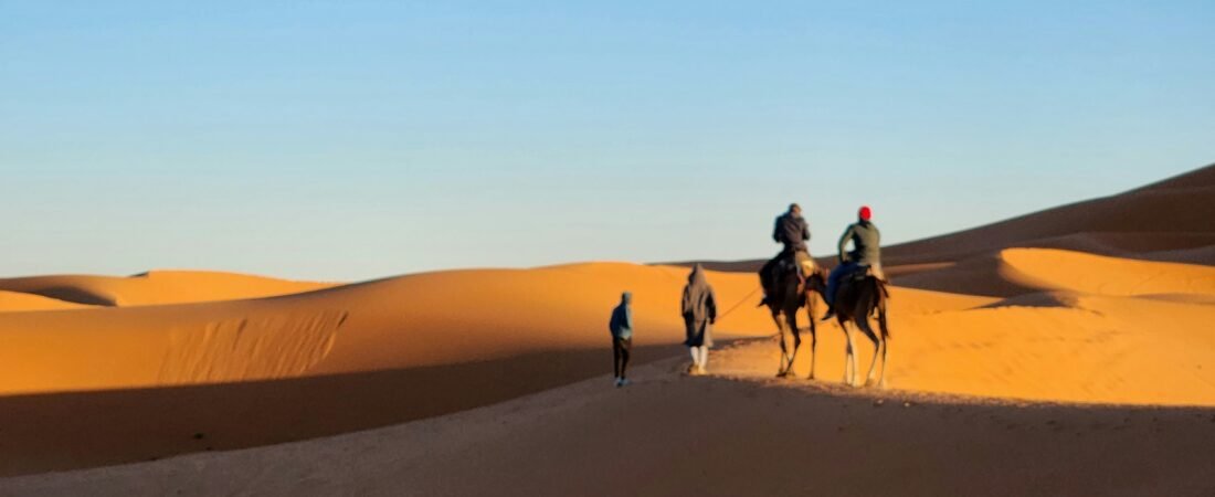 Horseback Riding in Morocco: Palm Groves, Beaches, and Desert Dunes