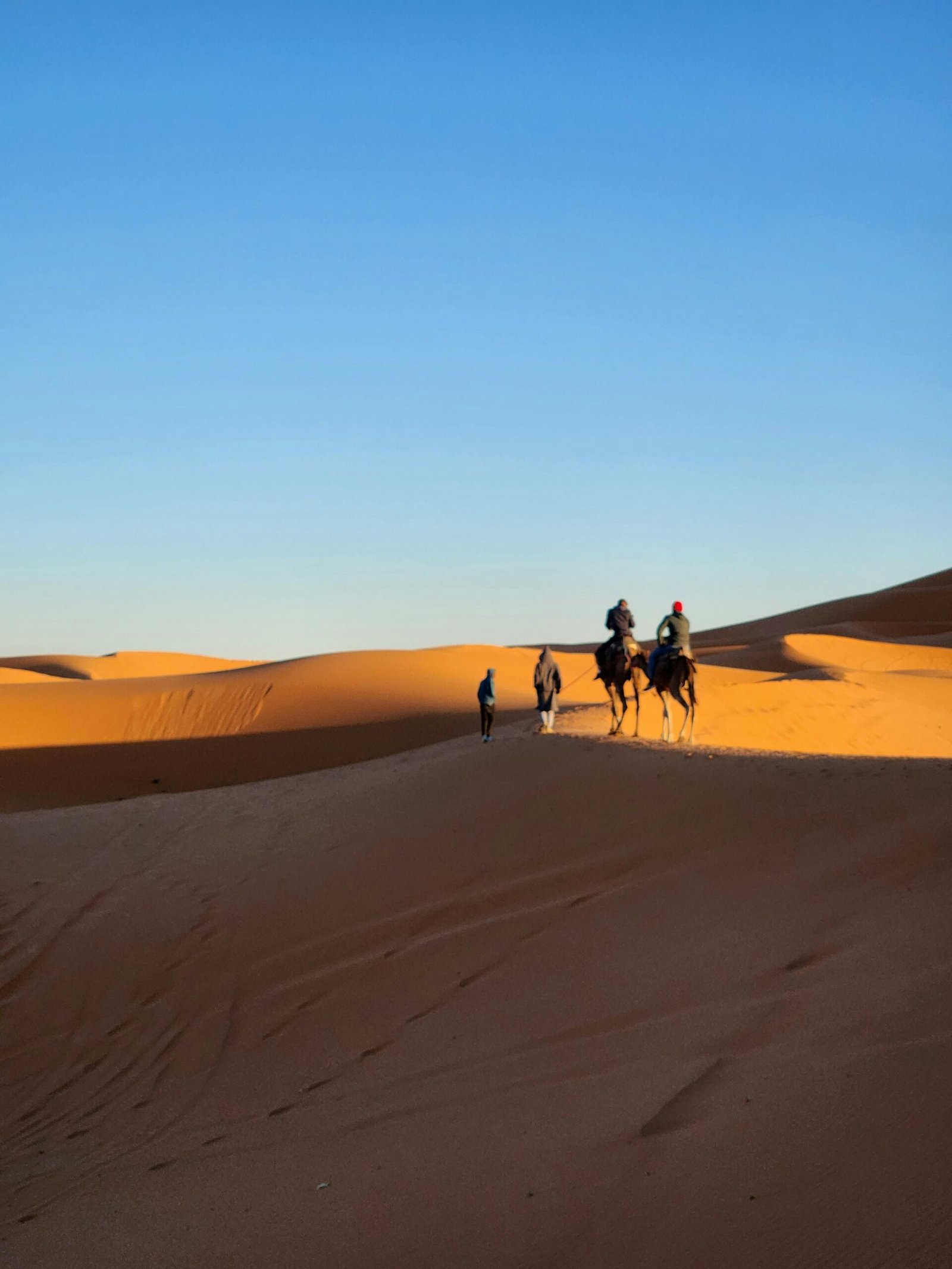 Horseback Riding in Morocco: Palm Groves, Beaches, and Desert Dunes