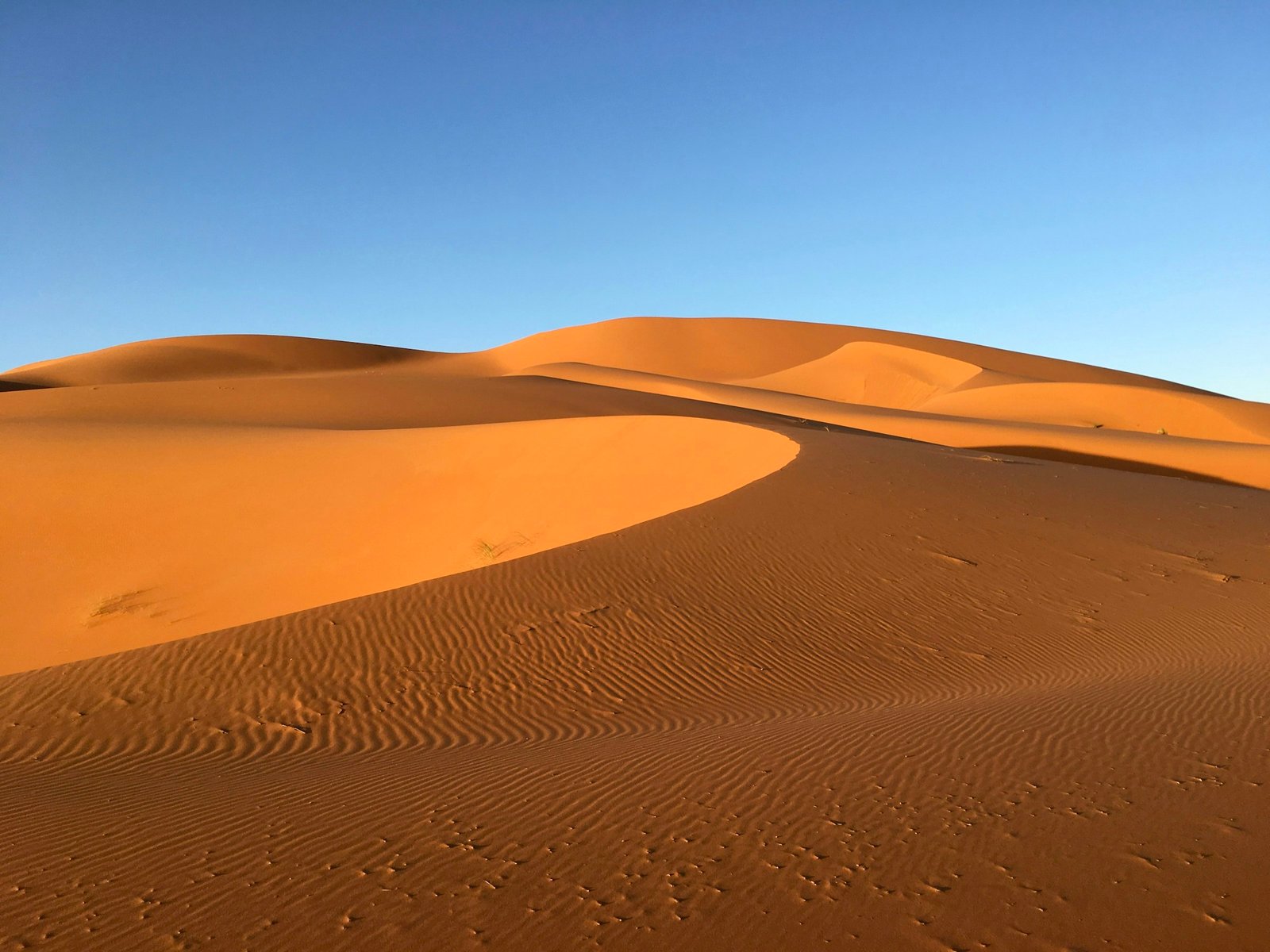 Golden sand dunes of Erg Chebbi at Merzouga, Morocco, under a clear sky