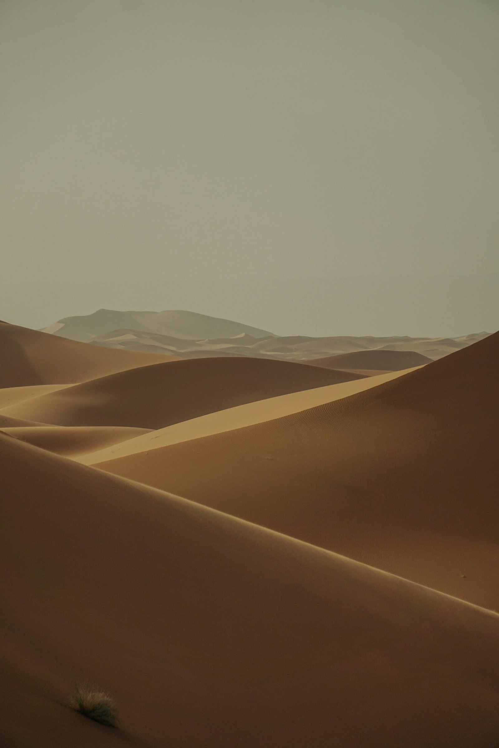 Golden Sahara Desert sand dunes near Merzouga, Morocco