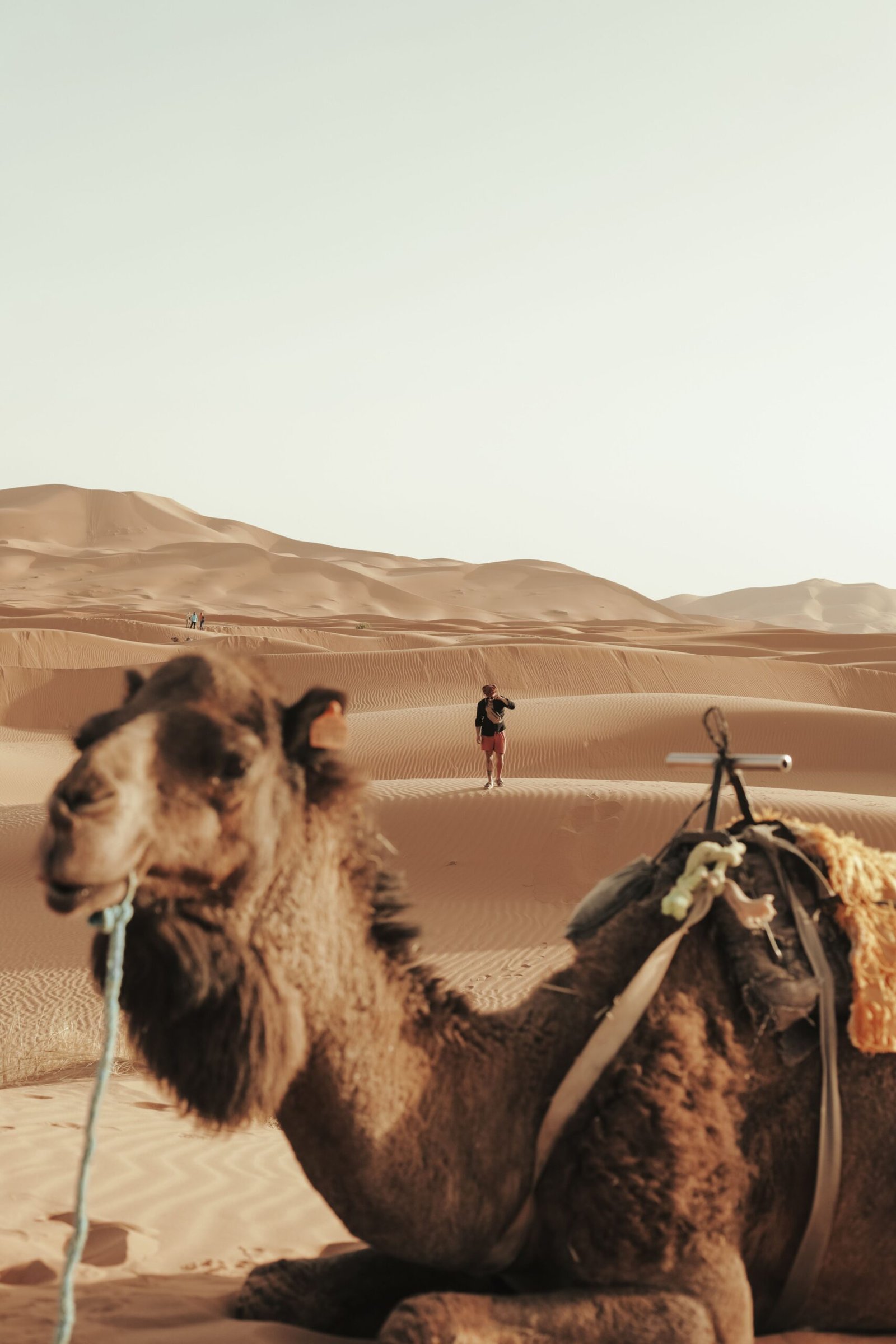 Merzouga Sahara Desert Trek Guide