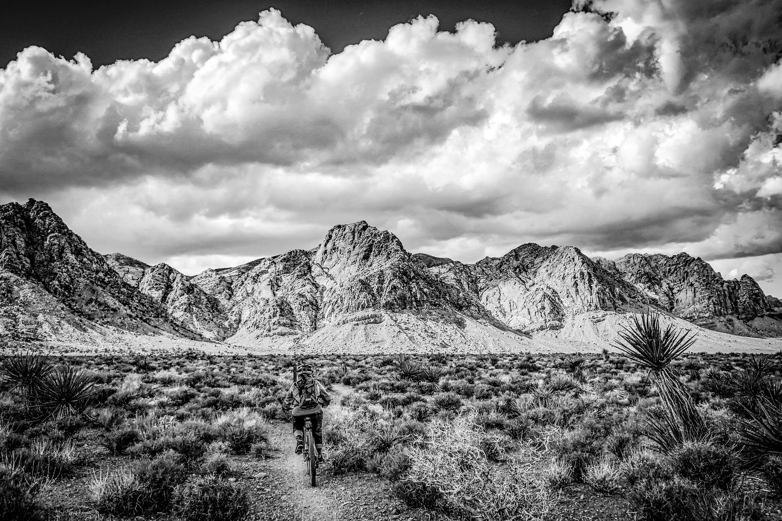 Lone cyclist riding a mountain bike across a desert landscape toward distant mountains