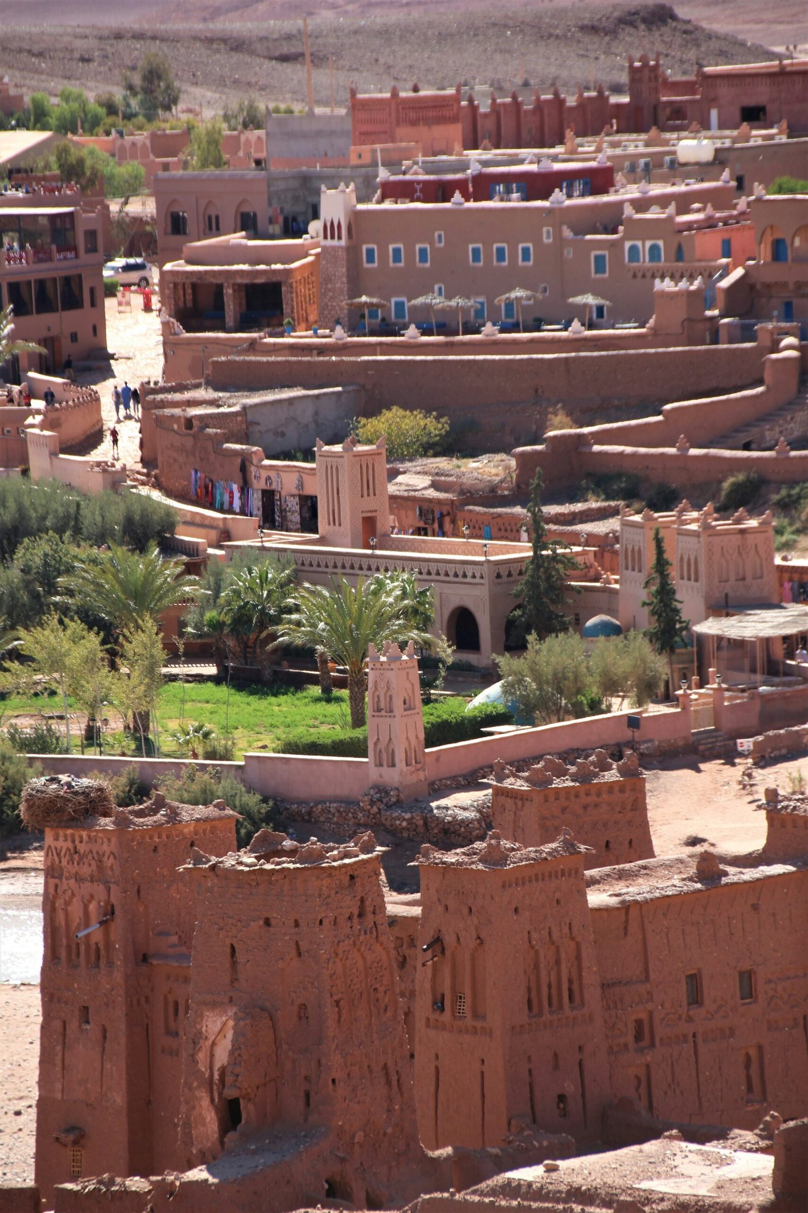 Traditional brown building surrounded by palm trees in Ouarzazate, Morocco