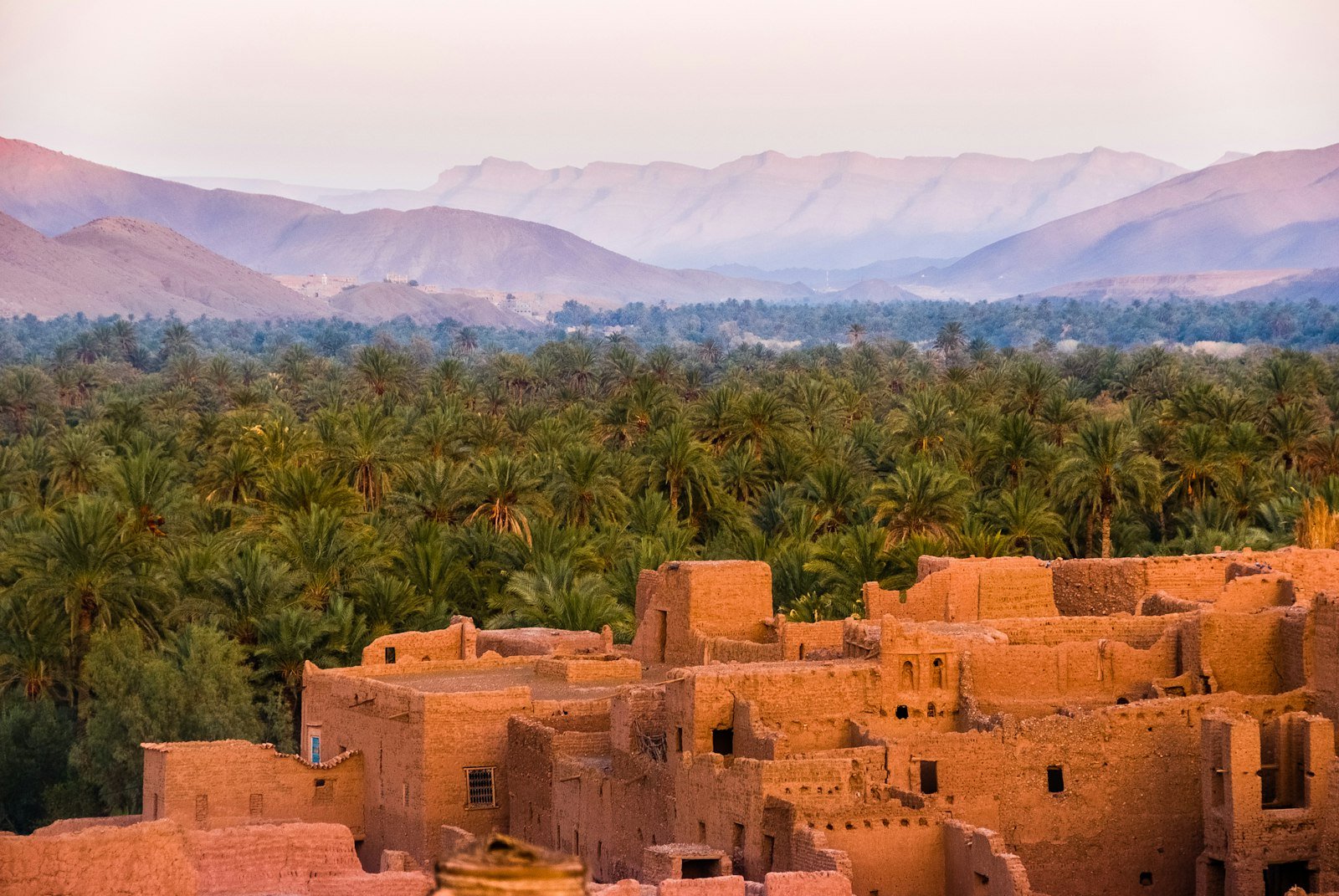 Ancient mud-brick kasbahs rising from the Skoura palm oasis