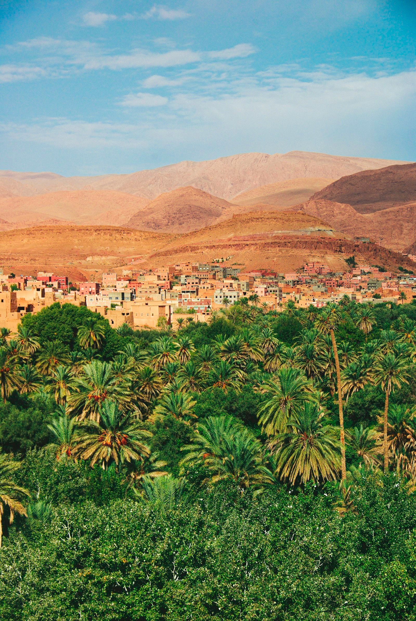 Palm oasis and village at the edge of the Todra Gorge