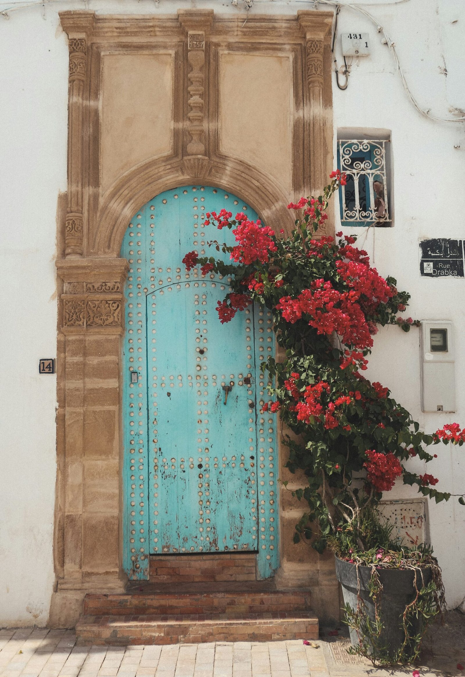 A striking blue door framed by red flowers in the historic Kasbah of the Udayas medina, Rabat, Morocco