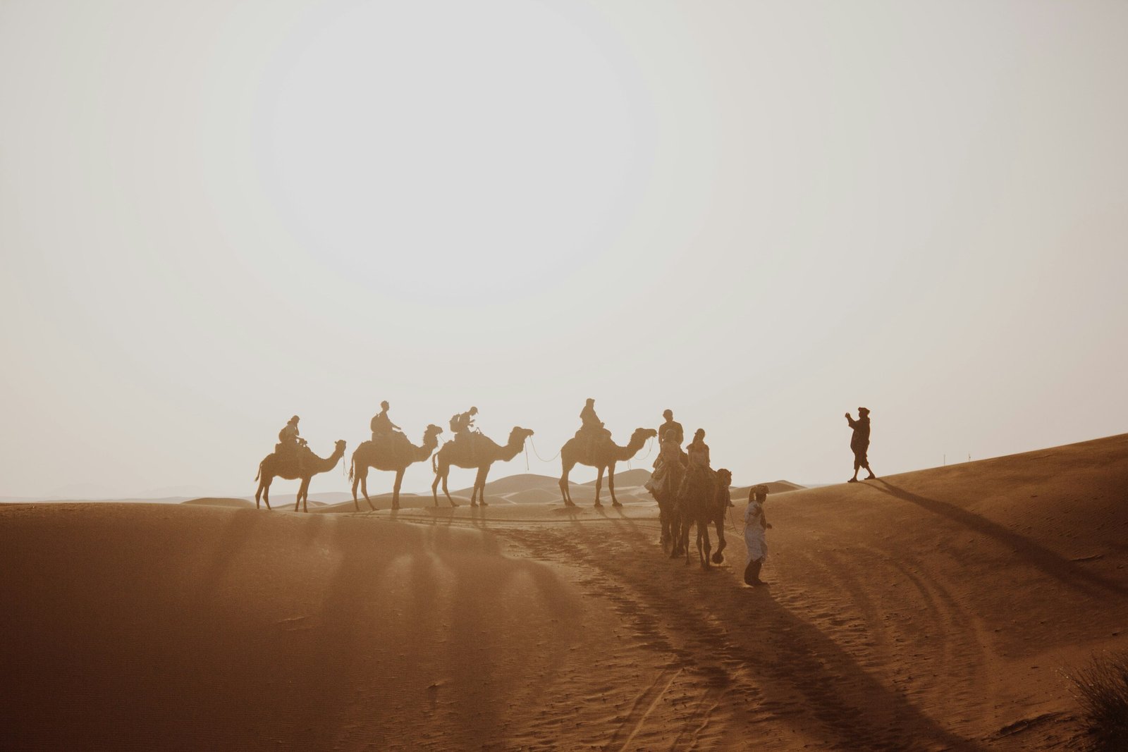 A group of riders on camels crosses the desert sand near Merzouga, Morocco, in daylight