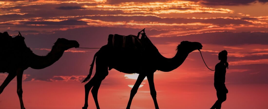 Sunrise Camel Trek to the Dunes: A Zagora Sahara Guide