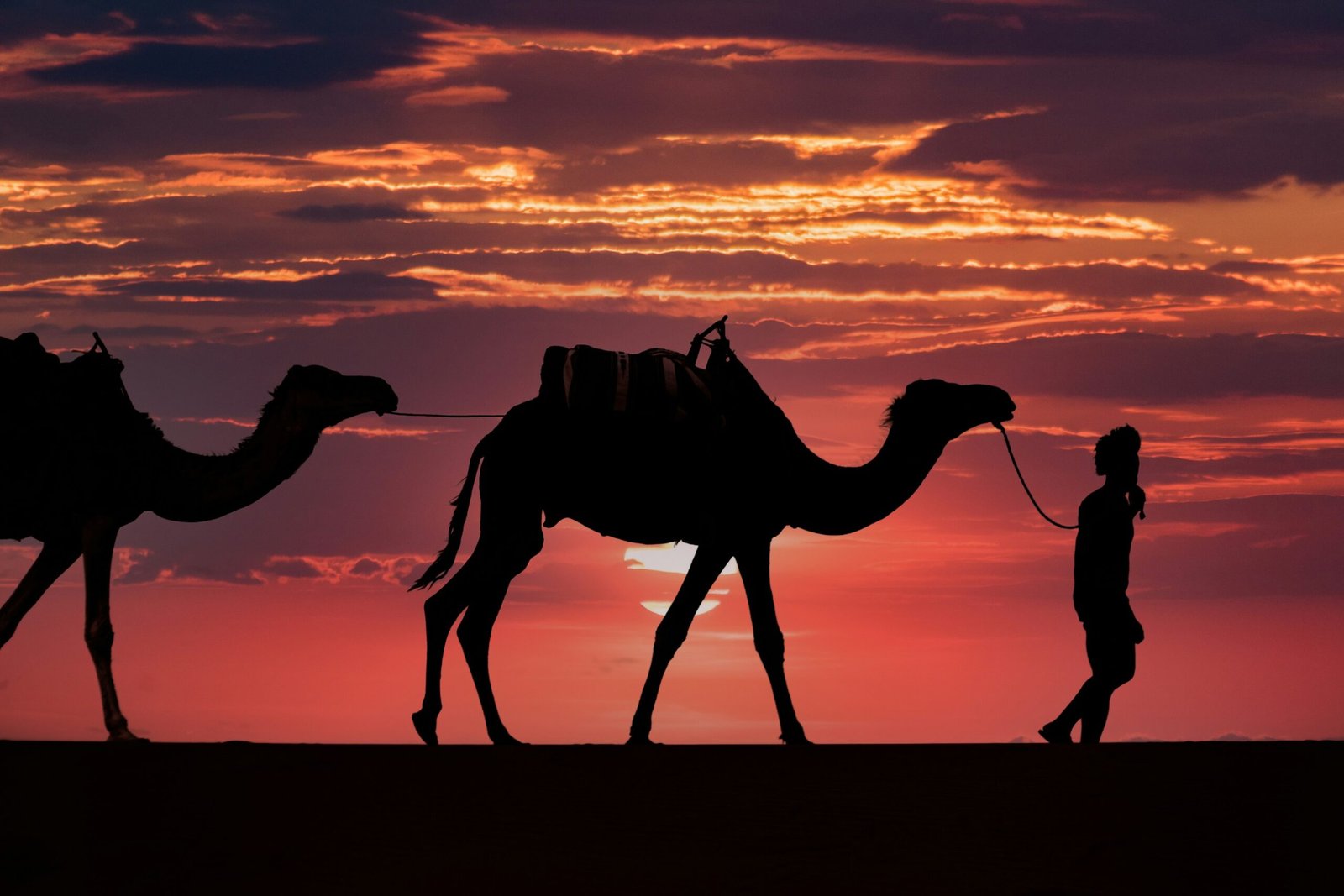 Sunrise Camel Trek to the Dunes: A Zagora Sahara Guide