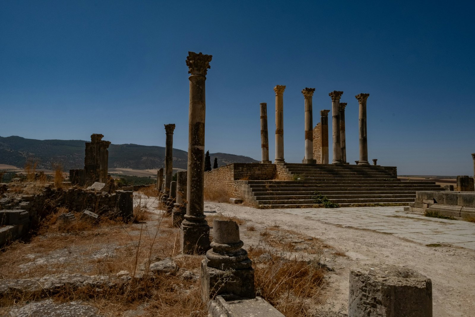 Ancient Roman columns of Volubilis standing under a clear sky in Morocco